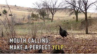 How to Hen Yelp on a Mouth Call