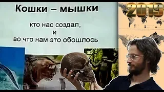 Станислав Дробышевский Кошки-мышки. Кто нас создал?