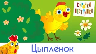 Цыплёнок - КУРОЧКА-ПЕСТРУШКА Развивающая песенка мультик для детей малышей