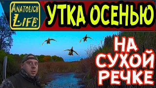 Охота на утку. Поиск и выбор места для охоты.