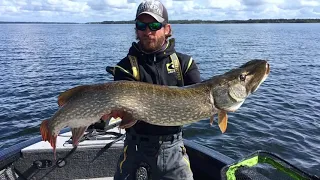 Monster 120.5 cm pike from Lough Derg, Pierre Monjarret