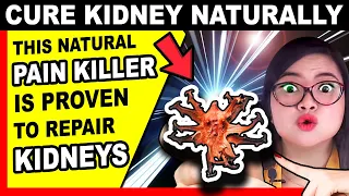 Most Powerful NATURAL Pain Reliever Proven to Boost KIDNEY Health