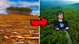 The Amazing Journey of MrBeast Planting 20 Million Trees!