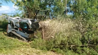 Bobcat forestry mulcher cutting a retention pond.