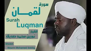 الشيخ نورين محمد صديق سورة لقمان Sheikh Noreen Muhammad Siddiq Surah Luqman