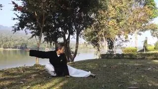 Wudang Five Animals Qi Gong