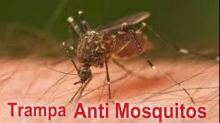 Trampa casera para Mosquitos - Evita los mosquitos en casa