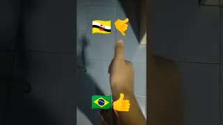 brunei or brazil