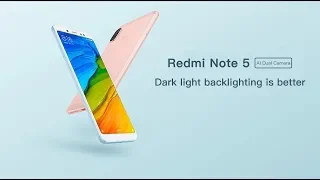 Обновляю китайский Redmi Note 5 до MIUI10. Может "кирпичи" это бред?