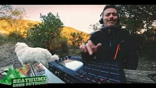 Akai Mpc Live, Outdoor Jam with my Dog, Jungle Beat FingerDrumming