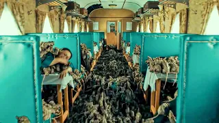 10000 Deadly Rats Attack The Train and Killed All Passengers