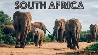 The South Africa Road Trip