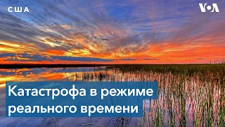 Во Флориде власти пытаются предотвратить затопление сточными водами из резервуара