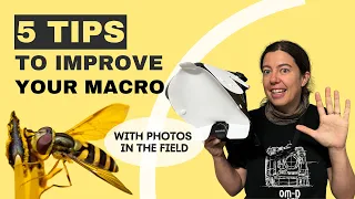 5 tips to improve your macro photography