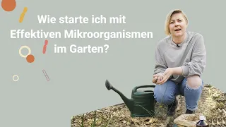 Wie starte ich mit Effektiven Mikroorganismen im Garten?