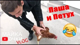 Курица в городе! :D