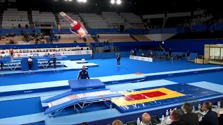 BERNARDEZ Alejandro (ESP) M - 2019 Trampoline Worlds, Tokyo (JPN) - Qualification Double Mini R2