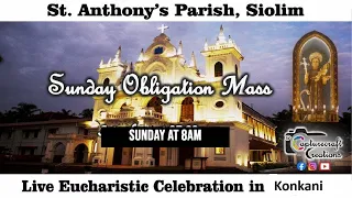 Fr Francisco's Farewell Mass Live at 8am on Sunday 26th May 2024 | St Anthony's Church Siolim