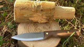 Condor Bushlore Knife Review & Quickly Demonstrated.