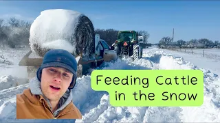 Feeding Cows In the Polar Vortex | Part 1 | THE BLIZZARD