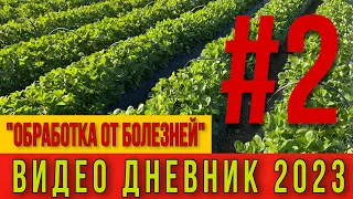 ОБРАБОТКА ОТ БОЛЕЗНЕЙ .Видео дневник 2023 Часть #2