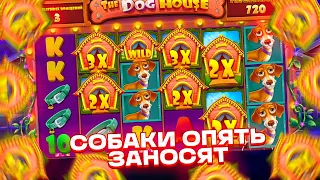 СОБАКИ ОПЯТЬ ЗАНОСЯТ! ПОДНЯЛ 400К В THE DOG HOUSE MEGAWAYS!