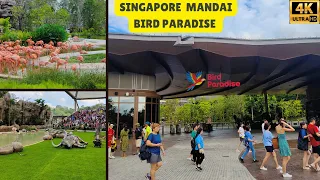 [4K] BIRD PARADISE SINGAPORE| BIRD SHOW SINGAPORE| SINGAPORE NEW BIRD PARK| MANDAI SINGAPORE