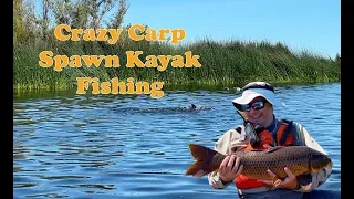 CRAZY Carp SPAWN Fishing at Clear Lake