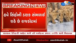 Authorities likely to develop 'lion territory' in Rajkot | Zee News