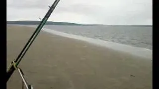 welsh sea fishing