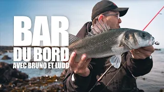 SEA BASS FROM THE SHORE: a nice session featuring Ludo and Bruno