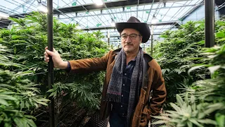 Jim Belushi shares why he calls cannabis "marriage counselor"