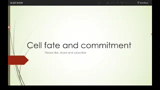 cell fate, commitment, determination, specification and differentiation