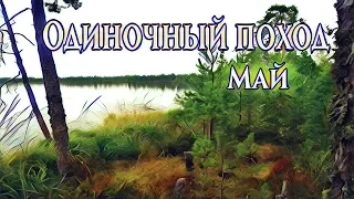 Одиночный поход в лес. Май. Река Лисиница.