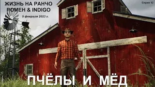 Пчёлы и мёд в Ranch Simulator. Серия 12