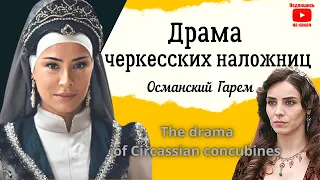 Самые дорогие наложницы османского гарема// Почему все были без ума от черкесских наложниц