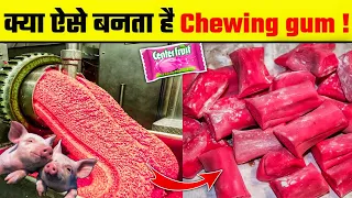 Chewing gum कैसे बनती है | Chewing gum kaise banti hai | How chewing gum is made in factory