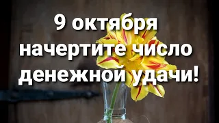 9 октября начертите число денежной удачи!