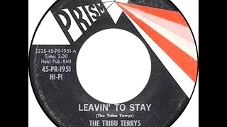 Tribu Terrys - Leaving To Stay