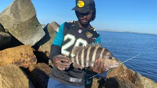 BIG SHEEPSHEAD FISHING ON JETTIES