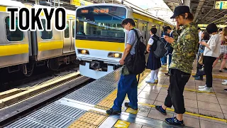 What is it Like to Walk Through Tokyo Central Station?