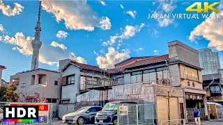 Japan: Suburban East Tokyo Walk • 4K HDR