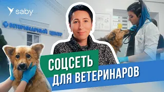 Корпоративный портал: чаты, видеозвонки, мотивация, — опыт внедрения в сети ветеринарных клиник