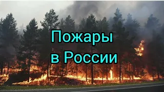 Второй выпуск информационно-просветительского центра " Новая реальность. Россия. Экология. Наука."