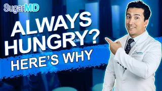 Top 8 Reasons You are Always Hungry & How to STOP Hunger! Sugar MD