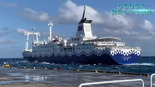 さるびあ丸　強風で接岸（投錨もあるよ⚓️）