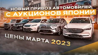 ❗НОВЫЙ ПРИВОЗ АВТОМОБИЛЕЙ С АУКЦИОНОВ ЯПОНИИ❗ЦЕНЫ МАРТА 2023❗ОБЗОР СТОЯНКИ JAPAUTOBUY ❗