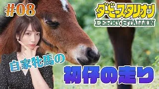 【ダービースタリオン/switch】#08 自家繁殖牝馬の初仔がデビュー！その走りやいかに【内田敦子/セントフォース】