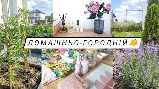 ГОРОДНІ СПРАВИ 🌱 покупки АВРОРА та JUSK / Ресторан на Дніпрі