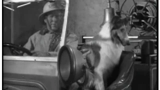 Lassie - Episode #264 - "Lassie Adopts the Fire Chief" - Season 8 Ep. 9 - 11/05/1961